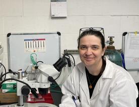 カトリーナ教授